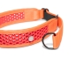 Preview: Zugstopp Halsband - orange/rot