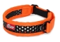 Preview: Zugstopp Halsband - orange/schwarz