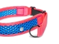Preview: Zugstopp Halsband - pink/blau