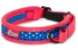 Preview: Zugstopp Halsband - pink/blau