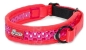 Preview: Zugstopp Halsband - pink