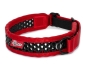 Preview: Zugstopp Halsband - rot/schwarz