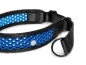 Preview: Zugstopp Halsband - schwarz/blau