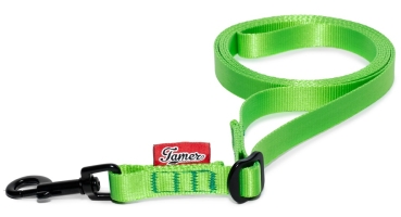 Leine BASIC - 2,5m - 1,5cm - grün