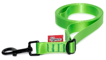 Leine BASIC - 3,5m - 2cm - grün