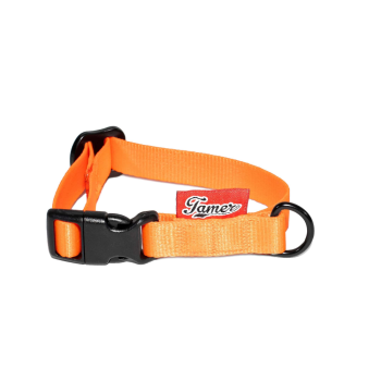 Halsband BASIC - orange