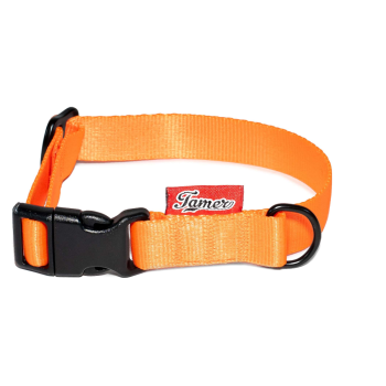Halsband BASIC - orange