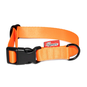 Halsband BASIC - orange