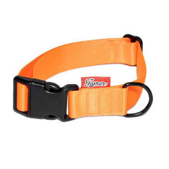Halsband BASIC - orange
