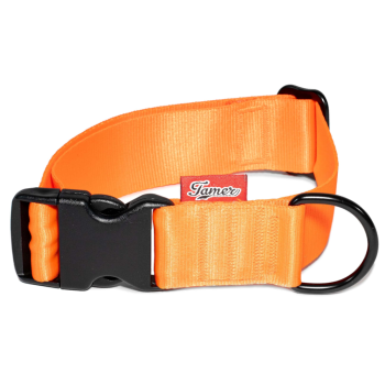 Halsband BASIC - orange