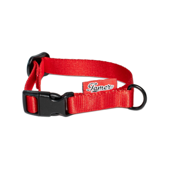 Halsband BASIC - rot