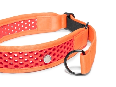 Zugstopp Halsband - orange/rot